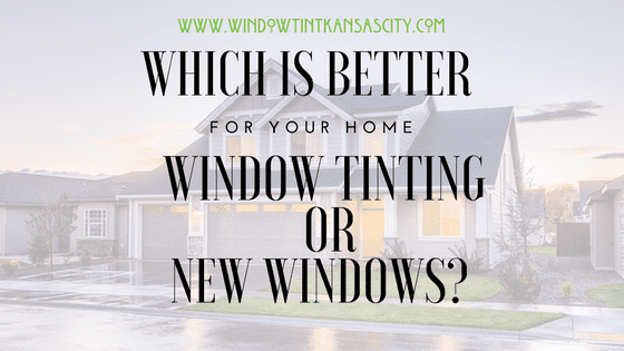 tinting or new windows