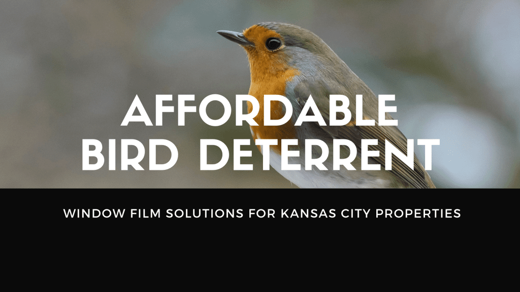 bird deterrent window film kansas city