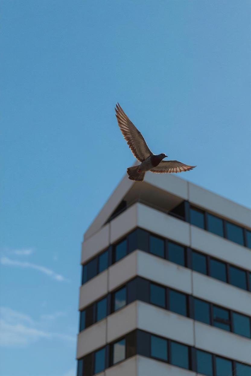 Professional installation of bird safety window film on Kansas City commercial building ensuring proper application and effectiveness